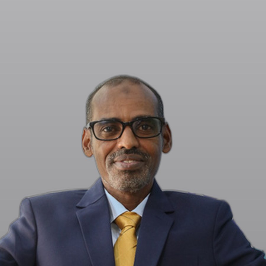 Fahmi Ahmed Ibrahim Mohamed